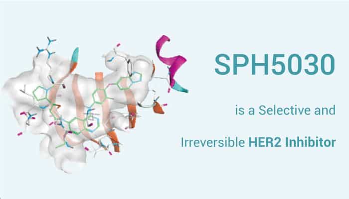 SPH5030 is a Selective and Irreversible HER2 Inhibitor.