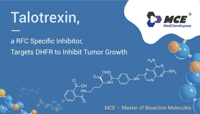Talotrexin, A RFC Specific Inhibitor, Targets DHFR to Inhibit Tumor Growth