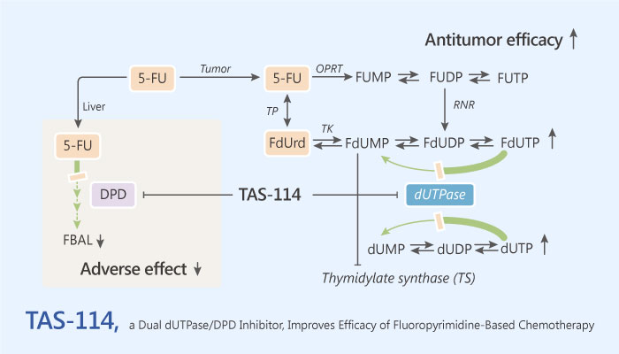 TAS-114, a Dual dUTPase/DPD Inhibitor, Improves Therapeutic Efficacy of Fluoropyrimidine-Based Chemotherapy