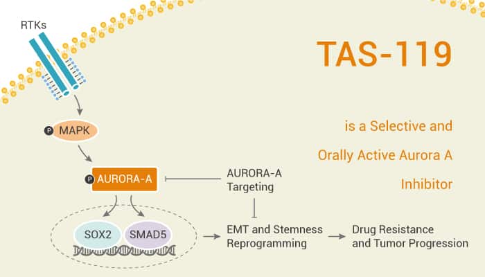 TAS-119 is a Selective and Orally Active Aurora A Inhibitor