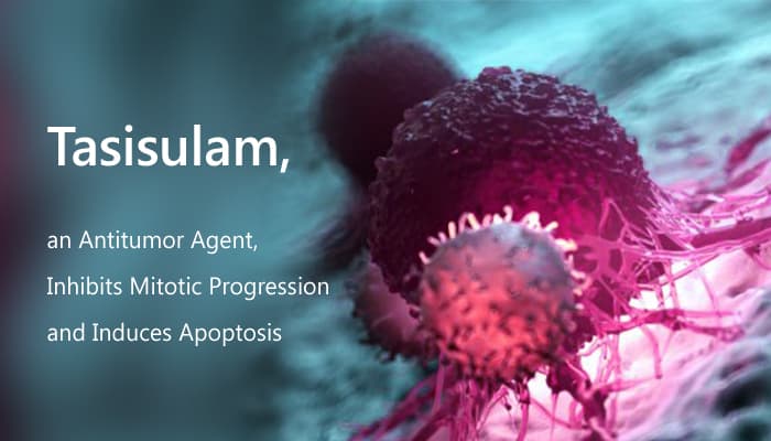 Tasisulam, an Antitumor Agent, Inhibits Mitotic Progression and Induces Apoptosis