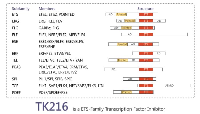 TK216 is an ETS Transcription Factor Inhibitor for Treatment of Ewing Sarcoma
