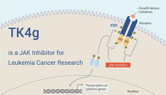 TK4g is a JAK Inhibitor for Leukemia Cancer Research
