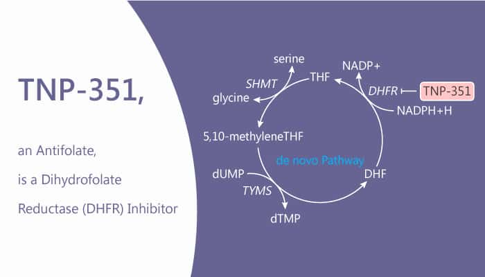 TNP-351, an Antifolate, is a Dihydrofolate Reductase (DHFR) Inhibitor