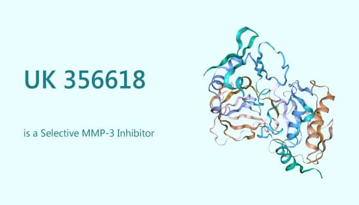 UK 356618 is a Selective MMP-3 Inhibitor