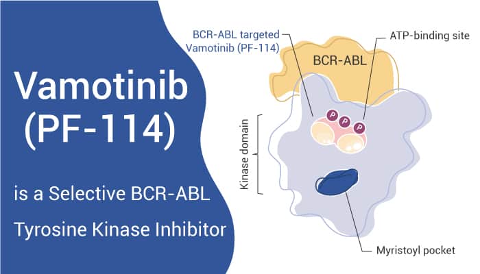 Vamotinib (PF-114) is a Potent, Selective and Orally Active Tyrosine Kinase Inhibitor