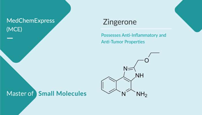 Zingerone, an Orally Active Nontoxic Methoxyphenol, Possesses Anti-Inflammatory and Anti-Tumor Properties