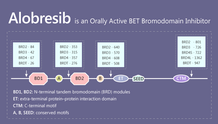 Alobresib is an Orally Active BET Bromodomain Inhibitor for Uterine Serous Carcinoma Treatment