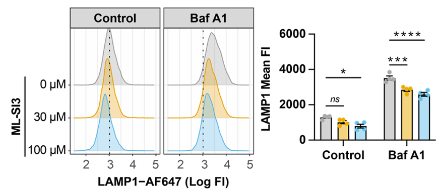 Experimental Validation Results for (1R,2R)-ML-SI3