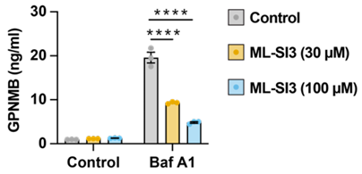 Experimental Validation Results for (1R,2R)-ML-SI3