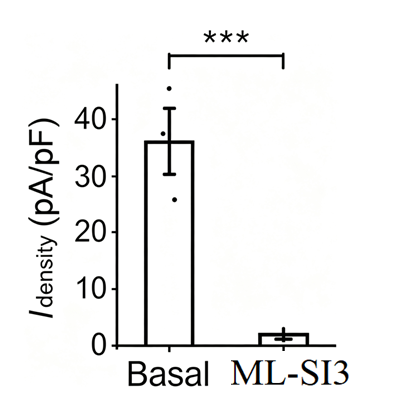 Experimental Validation Results for (1R,2R)-ML-SI3