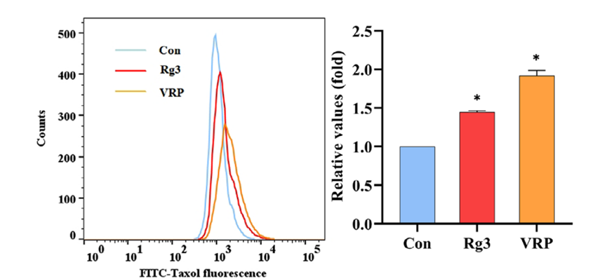 Experimental Validation Results for (20R)-Ginsenoside Rg3