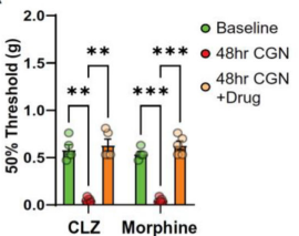 Experimental Validation Results for λ-Carrageenan