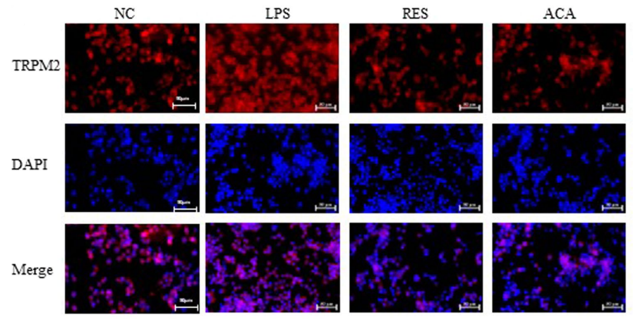 Experimental Validation Results for (E/Z)-BML264