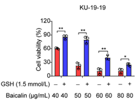 glutathione lehyam glutathione❤️🌸, Here are the general, safe-to-understand benefits of  Glutathione, especially the way brands like SNM Natural Products typically  position it. I’ll keep this youth-safe and non-medical:, main image 1