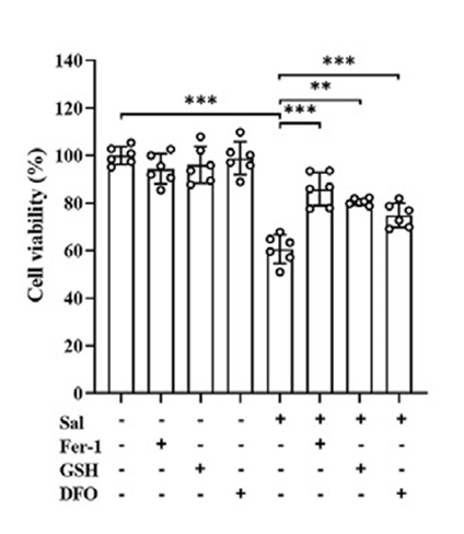 L-Glutathione reduced (GSH) | Antioxidant