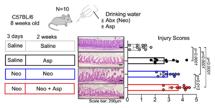 Aspirin (Acetylsalicylic acid) | COX Inhibitor