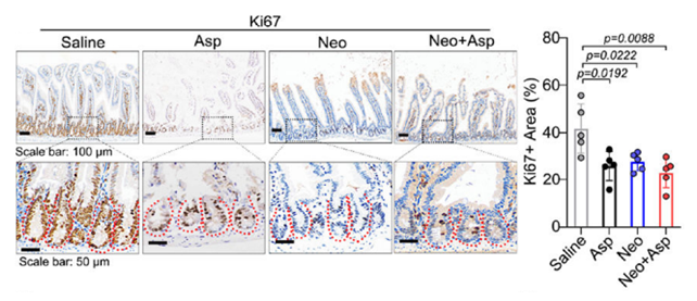 aspirin and glutathione Changes in Glutathione Pathway Components, HLA-DR and IgE in Blood from  Asthma Patients Treated With Ozone Therapy main image 0