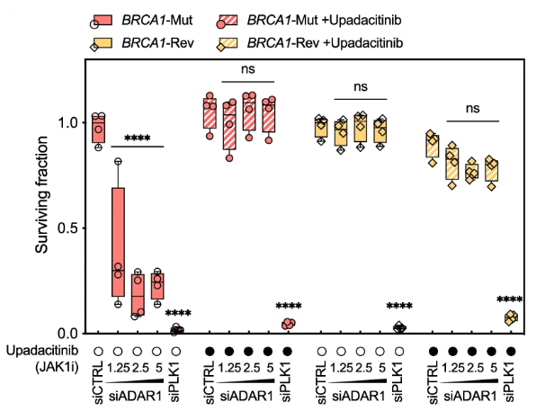 Upadacitinib
