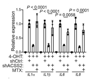 glutathione and methotrexate Time-course of glutathione peroxidase (GPx) responses following LPS and... main image 1