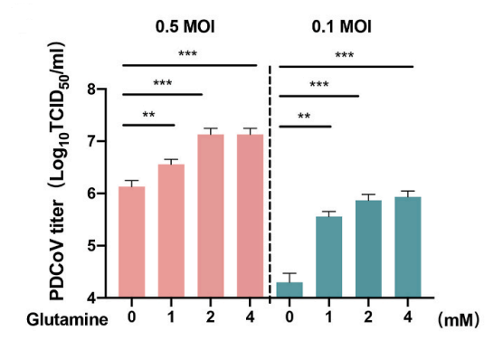 L-Glutamine (L-Glutamic acid 5-amide) | Endogenous Metabolite | MedChemExpress L-Glutamine (L-Glutamic acid 5-amide) | Endogenous Metabolite | MedChemExpress