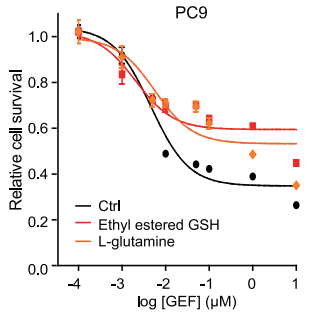 L-Glutamine (L-Glutamic acid 5-amide) | Endogenous Metabolite