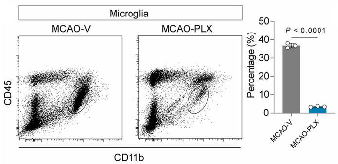 PLX5622 | CSF1R Inhibitor | MedChemExpress