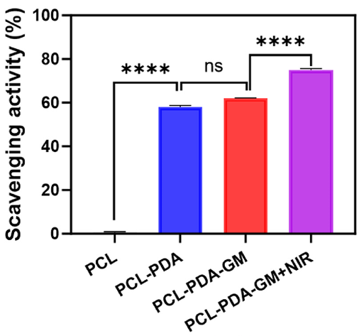 DPPH (2,2-Diphenyl-1-picrylhydrazyl) | Free Radical Scavenger