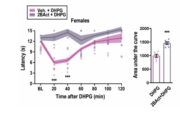 Experimental Validation Results for 2BAct