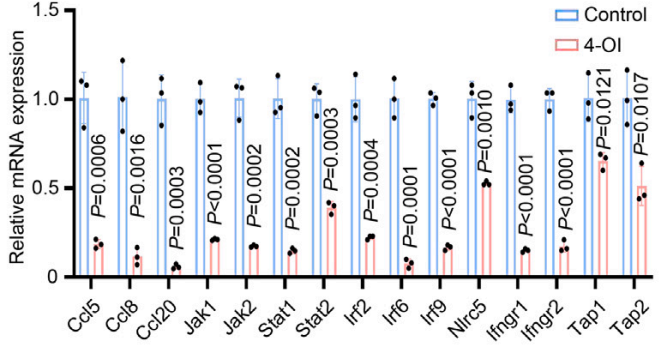 Experimental Validation Results for 4-Octyl itaconate