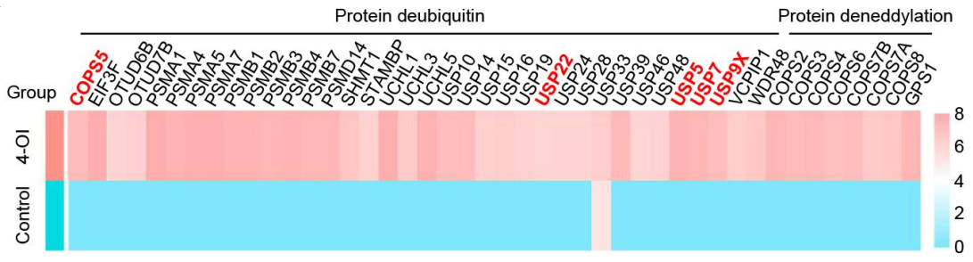 Experimental Validation Results for 4-Octyl itaconate