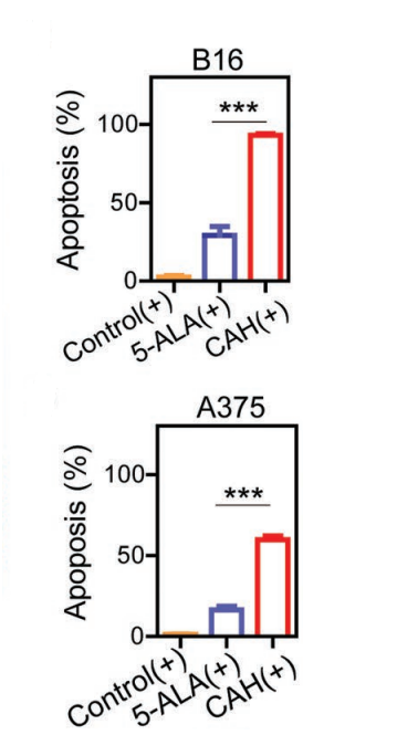 5-Aminolevulinic acid hydrochloride (5-ALA hydrochloride) | Heme