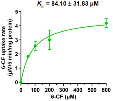 Experimental Validation Results for 6-FAM