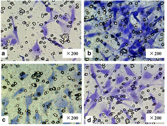 Experimental Validation Results for 7ACC1