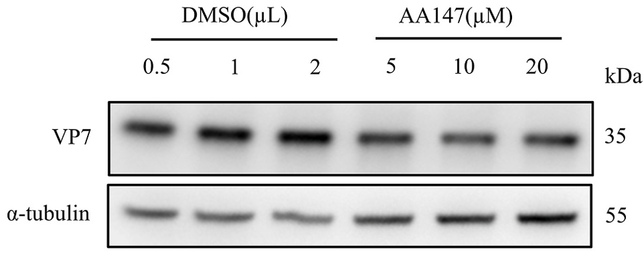 Experimental Validation Results for AA147