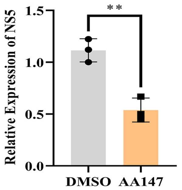 Experimental Validation Results for AA147