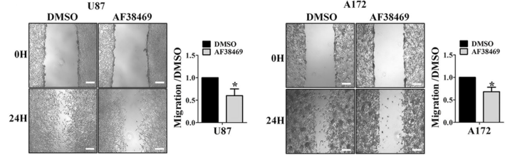 Experimental Validation Results for AF38469