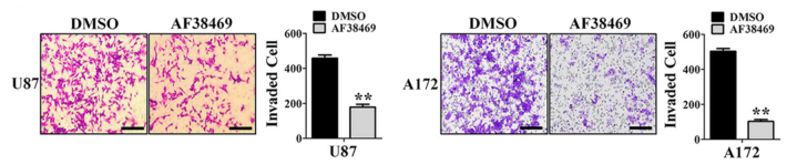 Experimental Validation Results for AF38469