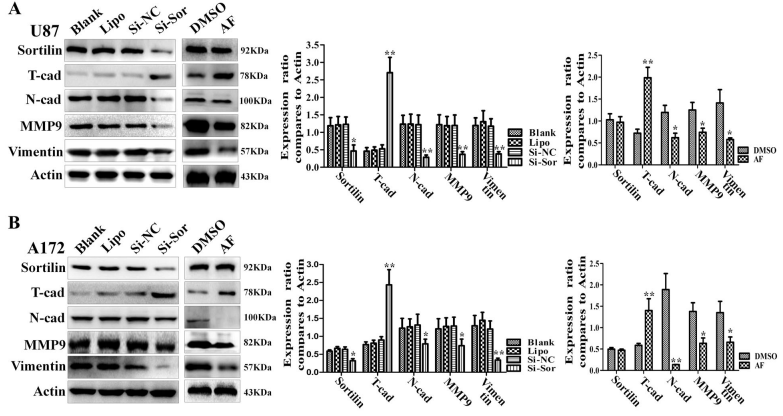 Experimental Validation Results for AF38469