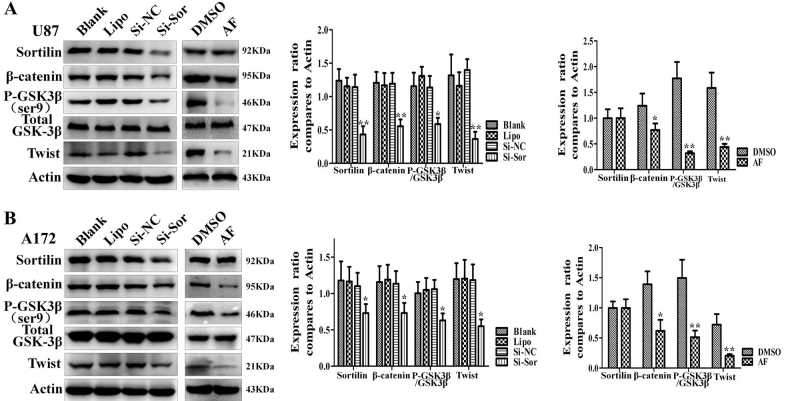 Experimental Validation Results for AF38469