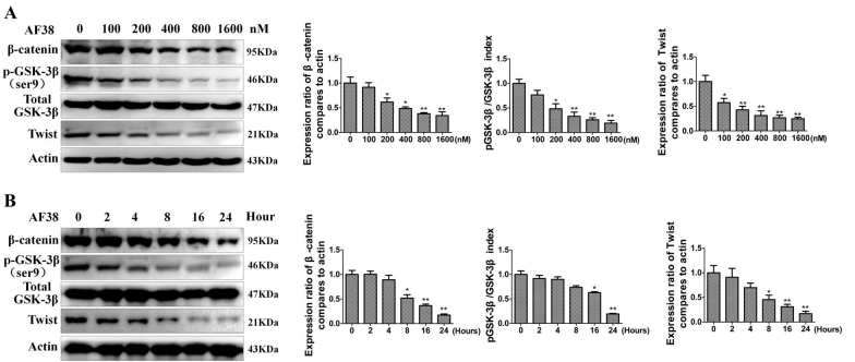 Experimental Validation Results for AF38469