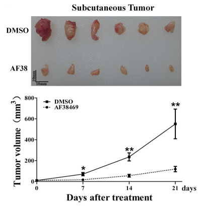 Experimental Validation Results for AF38469