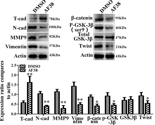 Experimental Validation Results for AF38469