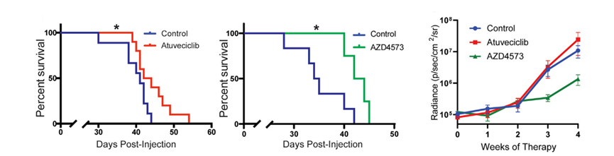 AZD4573 | CDK9 Inhibitor | MedChemExpress