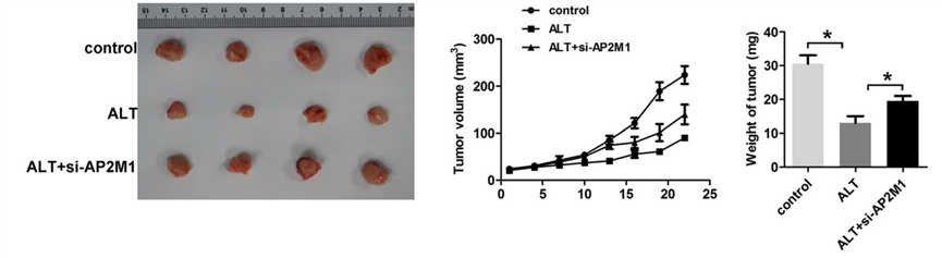 Experimental Validation Results for Alantolactone
