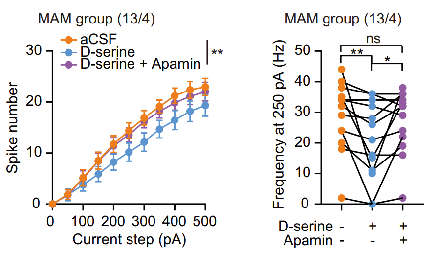 Experimental Validation Results for Apamin