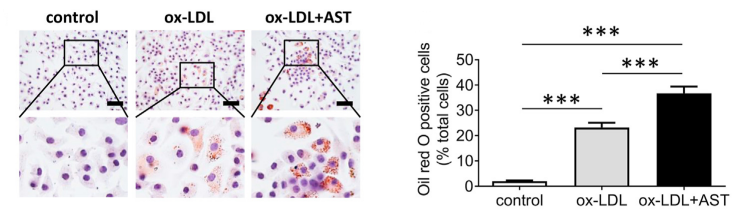 Experimental Validation Results for Astemizole
