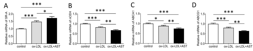 Experimental Validation Results for Astemizole
