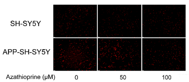 Experimental Validation Results for Azathioprine