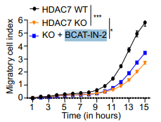 Experimental Validation Results for BCAT-IN-2
